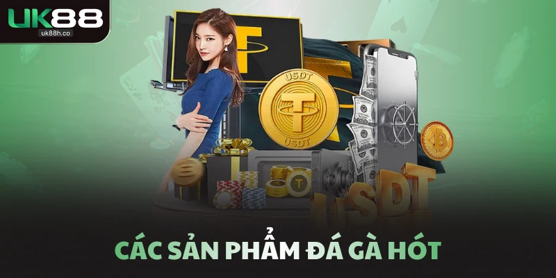 Các sản phẩm đá gà hót